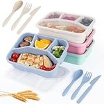 Moretoes 4 Pack Lunch Box Container