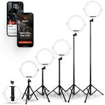 SQUATZ 11’’ LED 12W Selfie Ring Light with Wired Control, 3 Color Modes, 10 Brightness Levels, Tripod Stand with 6 Sections, Phone Holder, Adjustable Brightness Levels for Influencers, YouTube, TikTok