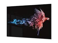 Concept Crystal Wall Art - Glass Print Canvas Picture SART03B Animals Series