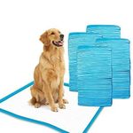 Patch & Marshall XL Floor Sticking Pee Training Pads for Dogs, Cats Pet & Puppies, Water Proof Dog Training pad-, 23.6 x 35.4 in, 90 x 60cm - Premium Range - Blue (Pack of 120)