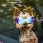 ENJOYING Dog Goggles Small Dog Sunglasses UV Protection Big Cat Glasses Fog/Windproof Outdoor Doggy Eye Protective with Adjustable Band for Small Dogs, Blue