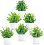 Dekorly Plastic Artificial Plants Small Fake Potted Plants, Mini Eucalyptus Potted Faux Decorative Grass Plant With White Pot For Home Decor, Indoor, Office, Desk, Shelf, Table Decoration|Pack Of 6