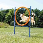 Trixie: - Dog Activity Agility Ring | Made with Durable Material, Adjustable Height, Comes with Transport Bag | Can be Set Up and Dismantled Easily Due to Quick Action Locks - (Orange/Blue)