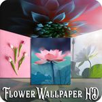 Flower Wallpapers HD