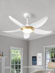 Liokoc Ceiling Fans with Lights with Remote & APP Control, 6-Speed Reversible DC Motor w/ 5 Propeller Blades Dimmable LED with CCT Function for Bedroom, Living Room, Entryway, Patio, 40 Inch White