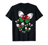 Welsh Flag Butterfly Idea For Women & Flag Of Wales T-Shirt