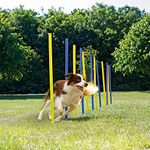 Dog Agility Poles