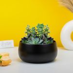 Urban Plant Metal Flower Planter For Living Room | Office Decor Item | Succulent Pots | Table Top Planter | Gift Item, Black