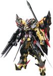 Bandai Hobby RG #24 Gold Frame Amatsu Mina Gundam Seed Astray Model Kit (1/144 Scale)