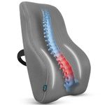 Vive Full Lumbar Cushion - Memory Foam Contour Support for Lower Back Pain - Ergonomic Pressure Relief for Office Chair, Car - Large Mesh Orthopedic Seat Backrest Roll for Improving Posture (Gray)