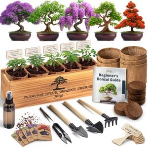 AVERGO Bonsai Tree Kit – 5X Unique Japanese Bonzai Trees | Complete Indoor Starter Kit for Growing Plants with Bonsai Seeds, Tools & Planters – Gardening Gifts for Women & Men