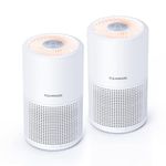 Air Purifier For Smokers Portables