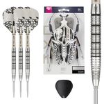 TARGET Darts EXO Edition 90% Tungsten Steel Tip Darts Set – 24g Barrel SP02 – Steel Tip Dart Sets, Swiss Point Darts with Pro Grip Shafts and No.6 Flights, SP Tool Included