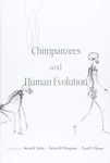 Chimpanzees and Human Evolution