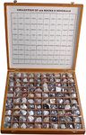 Crabby Geology Civil Educational |100 Rare Rocks & Minerals | Collection Kit in Wooden Box