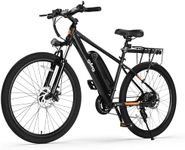 QLIFE Racer Electric Bike for Adult