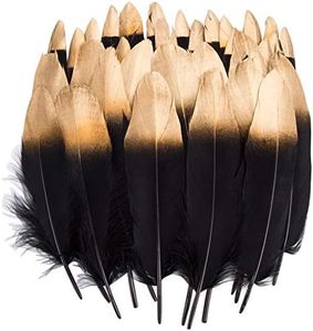 Plumas de Ganso, 40 pcs Oro/Plata Sumergido rojo/Negro Natural Plumas de Gallo Manualidades Decoración para Disfraces Hats, Hogar Bricolaje, Ropa Casa Fiesta (accesorio de disfraz) (Feathers B)