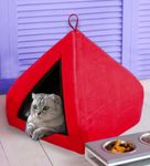 CARESFUL Premium Soft Velvet Fabric Bed for Cats Kittens & Suitable for Dog Puppies Pet House Length-60 Cm * Width-60 Cm * Height-50 Cm (L, Red)