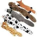 Nocciola Dog Squeaky Toys, 5 PCS Cr