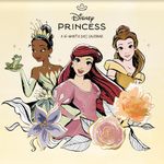 2025 Disney Princess Mini Wall Calendar