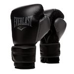 Everlast Powerlock 2R Training Glove - Black - 14 oz