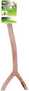 Penn-Plax Y-Shaped Wooden Bird Perch, Durable and Long-Lasting | Made with Natural Hard Wood, Medium