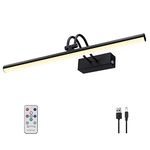 RAIFOOLLY Picture Light, 16in Battery Operated Picture Lights for Paintings,Metal Remote Control Display Art Light with Timer and Dimmable for Wall Painting,Frame, Portrait, Dartboard(Black)