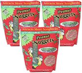 C & S Peanut Wild Bird Nuggets [Set