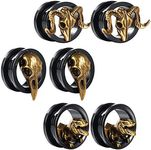 COOEAR Gauges Ears Plugs and Tunnels Black Screw Back Earrings Upgrade Piercing 1 Pair Gift Packing Stretchers 2g to 1 Inch.