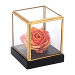 TOLIDA 10*10*12cm Clear Glass Display Box with Black Pine Base - Desktop Gold Edge Decorative Showing Case for Collectibles Figures Dolls Toys