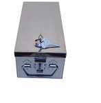 GvanyS Locker Boxes,Jewellery Check book Cash Bank Locker Stainless Steel Box Size - 10 Inch Cash Box (With Pre fited Lock & 2 Key)