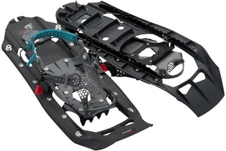 MSR Evo Ex