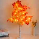 XVZ LED Tree Light, 24 LED Maple Tree Table Lamp, USB/Battery Operated Christmas Tree Lights for Autumn, Home, Party, Christmas Decoration - Warm White