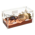 Zilla Micro Habitats Terrestrial Small