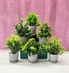 Dekorly Plastic 6 Packs Fake Plants Small,Mini Artificial Plants Indoor For Home Farmhouse Bathroom Shelf Décor(Height : 17Cm,Gray)