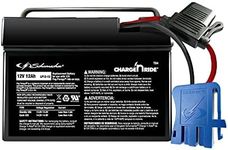 Schumacher Electric 12V Battery for Ride on Toys - TB4 12V 12 Amp Hours with Replaceable Fuse - Rechargeable 12V Ride On Replacement Battery for Peg Perego Vehicles - Safe & Easy to Use