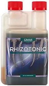 Canna Rhiz