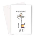 Muchas Gracias Greeting Card | Spanish Thank You Card, Funny Thank You Card, Llama Thank You Card For Boss, Colleague, Teacher or Friend, Spanish Gratitude Card For Her Or Him, Thank You Card