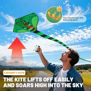 Slide 5