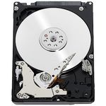 WD Black - 500GB Portable SATA Hard Drive - OEM