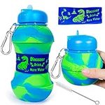 Dinosaur Water Bottle for Kids Todd