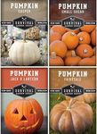 Survival Garden Seeds Pumpkin Collection Seed Vault - Non-GMO Heirloom Seeds for Planting Vegetables - Casper, Fairy Tale, Jack O'Lantern, Small Sugar Pumpkins for Growing in Your Vegetable Garden