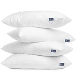 Lavish Home Soft Pillows