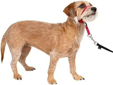 PetSafe Gentle Leader No-Pull Dog Headcollar - The Ultimate Solution to Pulling - Redirects Your Dog's Pulling for Easier Walks - Helps You Regain Control - Small, Red
