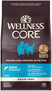 Wellness C