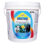 REFIT ANIMAL CARE Mineral Mixture for Cow, Cattle, Poultry & Fish, 10 Kg, Grotone Forte