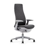 Haworth Fern Ergonomic Office Chair – Stylish and Innovative Desk Chair with Digital Knit Finish - Without Lumbar Support (Heathered Grey)