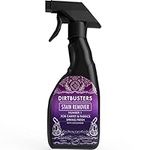 Dirtbusters Carpet Stain Remover Spray With Odour Eliminator For Carpet, Upholstery, Wool & Fabric, Use The Carpet Cleaner Solution To Deodorise, Remove & Clean All Types Of Stubborn Stains (750ml)