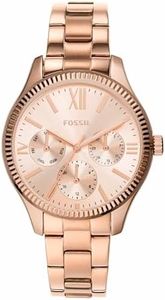 Fossil Rye