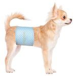 Flying Paws Male Dog Nappies, L-40 count, with Wetness Indicator Super Absorbent Dog Wraps, Adjustable Larger Diapers for Male, Puppy Incontinence Pants